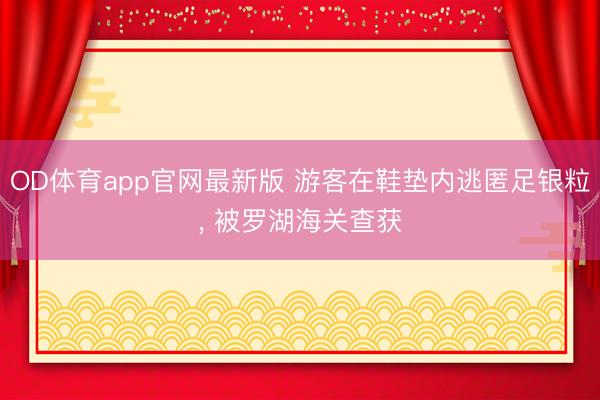 OD体育app官网最新版 游客在鞋垫内逃匿足银粒, 被罗湖海关查获