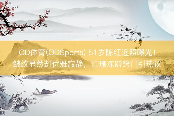 OD体育(ODSports) 51岁陈红近照曝光!皱纹显然却优雅寂静,江珊冻龄窍门引热议