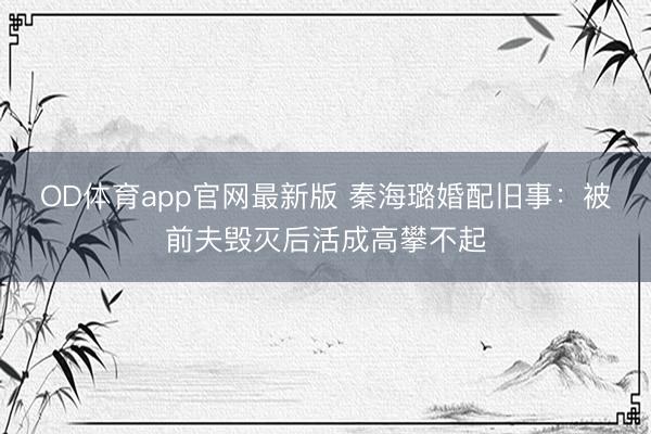 OD体育app官网最新版 秦海璐婚配旧事：被前夫毁灭后活成高攀不起