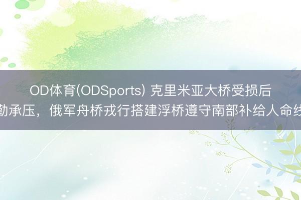 OD体育(ODSports) 克里米亚大桥受损后勤承压，俄军舟桥戎行搭建浮桥遵守南部补给人命线