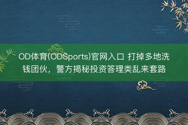 OD体育(ODSports)官网入口 打掉多地洗钱团伙，警方揭秘投资答理类乱来套路