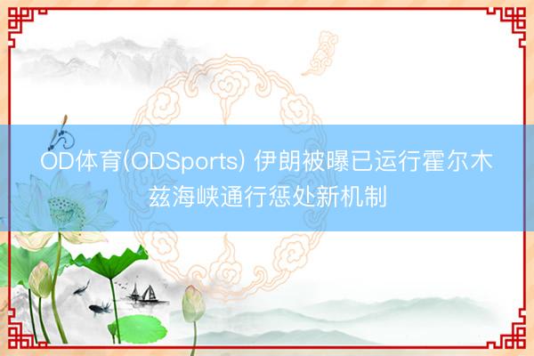 OD体育(ODSports) 伊朗被曝已运行霍尔木兹海峡通行惩处新机制
