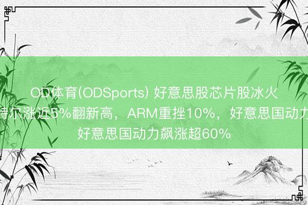 OD体育(ODSports) 好意思股芯片股冰火两重天，英特尔涨近5%翻新高，ARM重挫10%，好意思国动力飙涨超60%