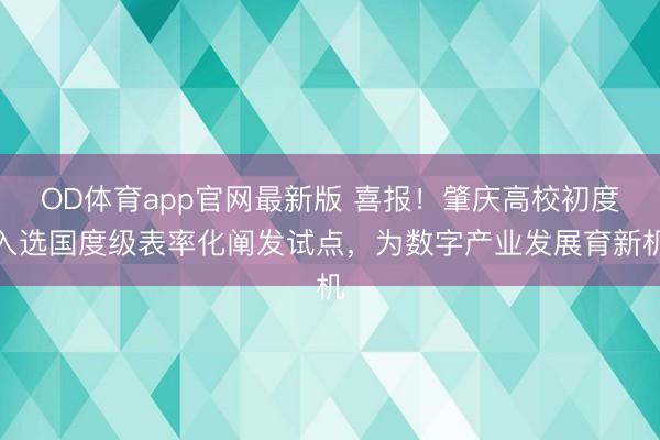 OD体育app官网最新版 喜报！肇庆高校初度入选国度级表率化阐发试点，为数字产业发展育新机