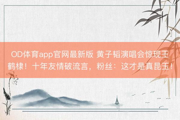 OD体育app官网最新版 黄子韬演唱会惊现王鹤棣!十年友情破流言,粉丝:这才是真昆玉!